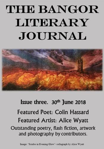 Titelbild vom "Bangor Literary Journal, Ausgabe 3"