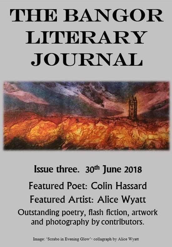 Titelbild vom "Bangor Literary Journal, Ausgabe 3"